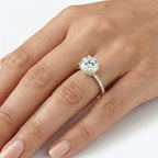 Frenchie Pave Moissanite Ring