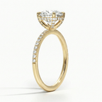 Frenchie Pave Moissanite Ring